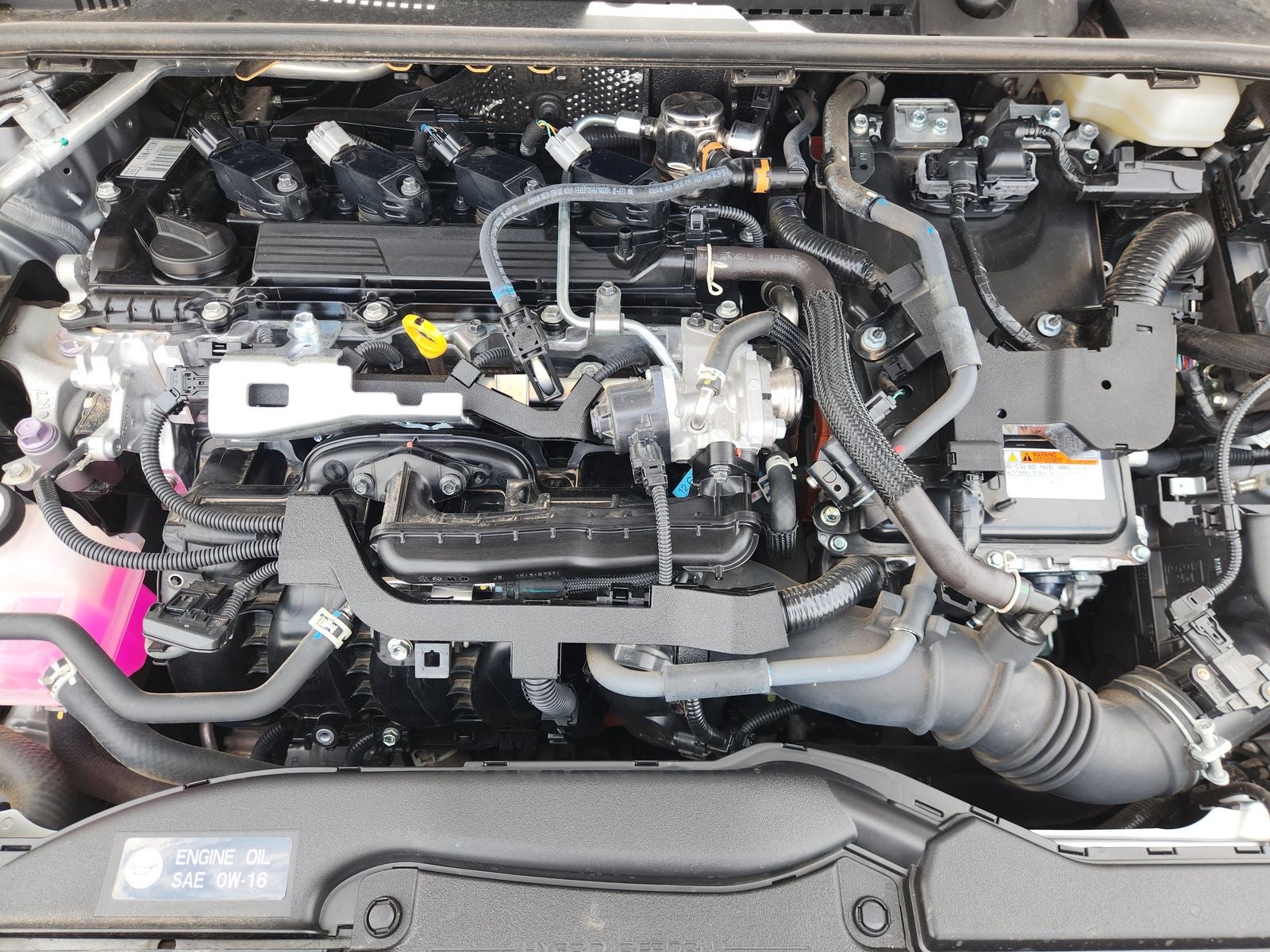 2024 Toyota Prius XLE