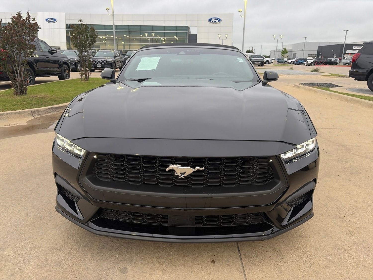2024 Ford Mustang EcoBoost Premium